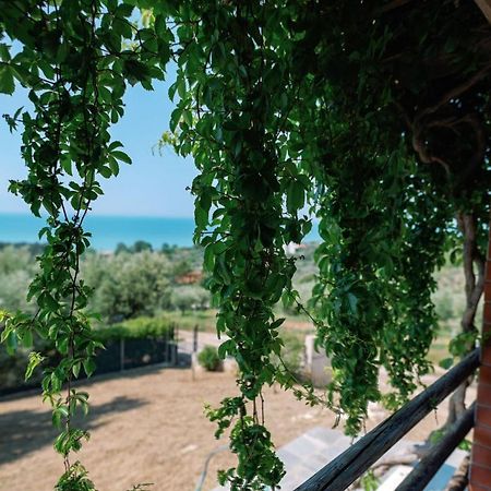 Villa Aiolos アレクサンドルポリス エクステリア 写真
